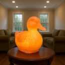 Pink Himalayan Salt Duck